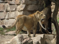 20100206 505.JPG